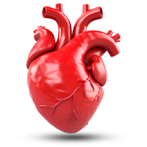 Heart health